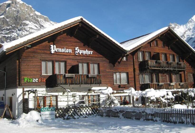 فندق صغير Pension Spycher