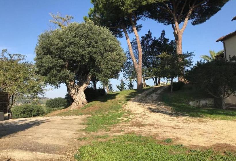 酒店 Agriturismo Il Poderino