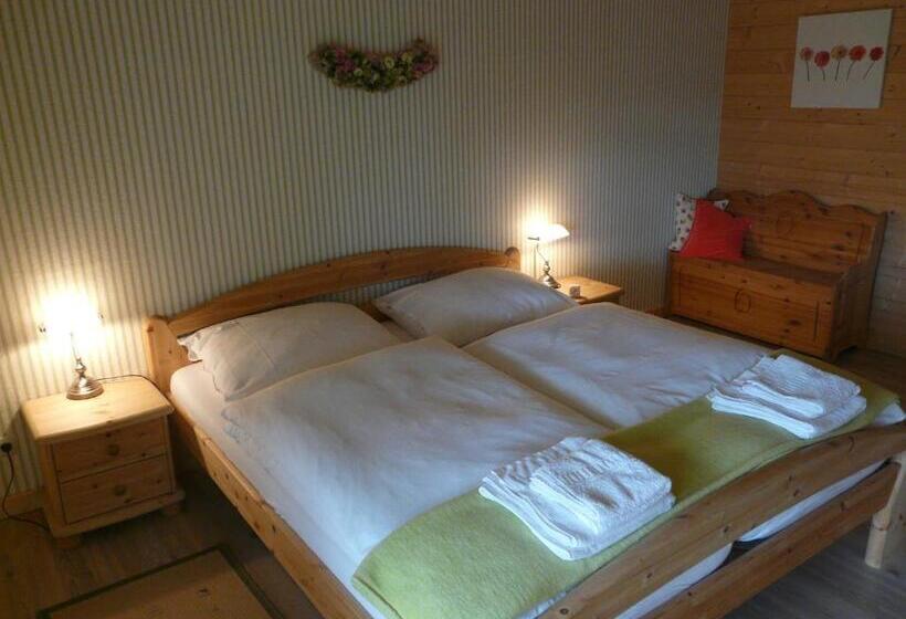 膳宿费 Gasthof Alpl