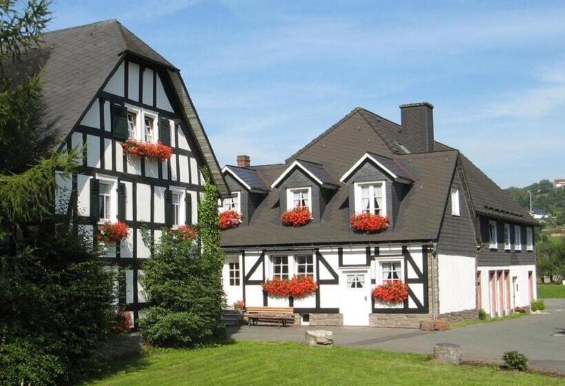بنسيون Gästehaus Schwarzenauer Mühle