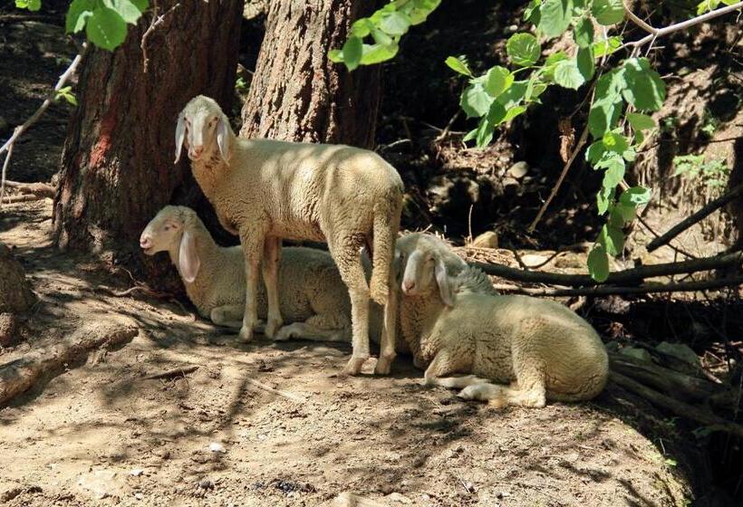פנסיון Gut Sonnbichl