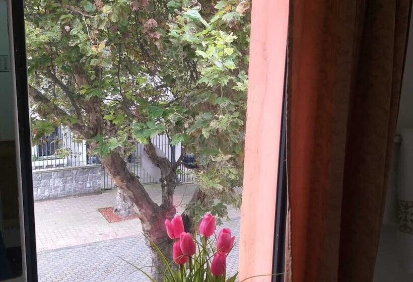 پانسیون Whipala Hostal