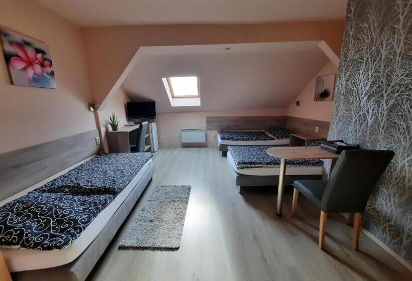 پانسیون Penzion Avena