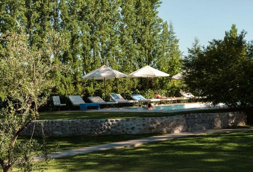 فندق صغير Posada Verde Oliva