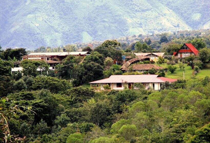 هتل Alto De Los Andaquies