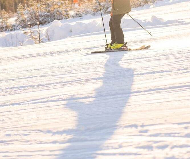 بنسيون Högbo Hotell Skommarsgården