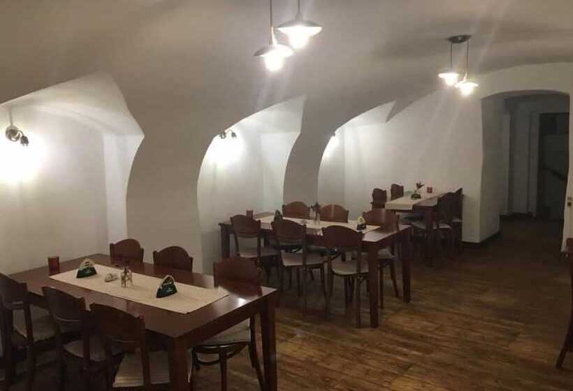 پانسیون Penzion U Lucerny