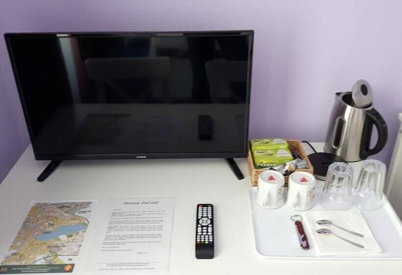 پانسیون Penzion U Lucerny