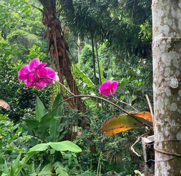 پانسیون Pousada Cachoeira