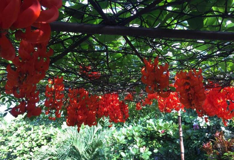 پانسیون Villa Ma Rasai