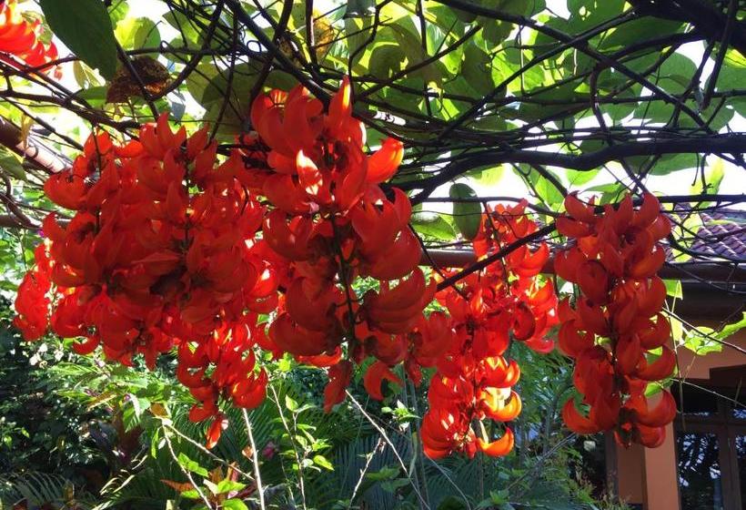 پانسیون Villa Ma Rasai