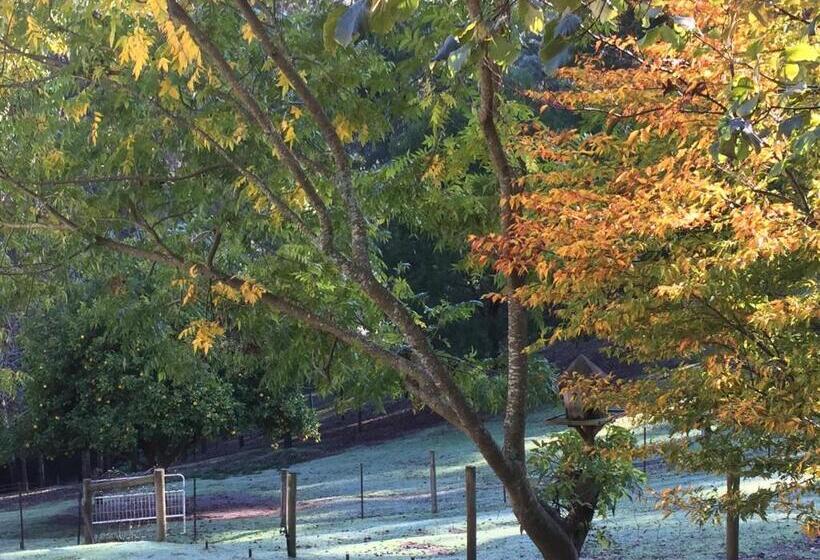 Brentwood Accommodation B&b Apartments Yarra Valley