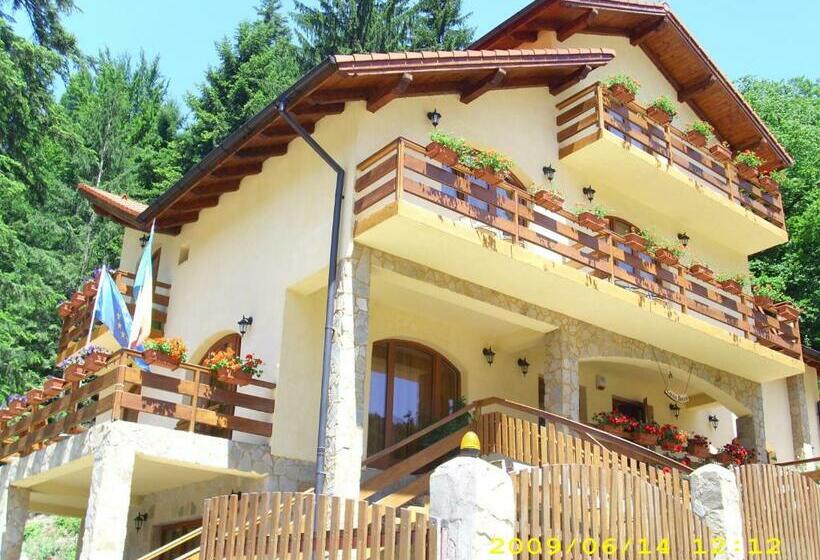 پانسیون Casa Anca Boutique