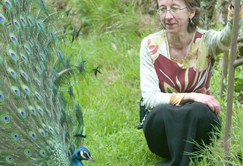 住宿加早餐  Villa Tranquillité