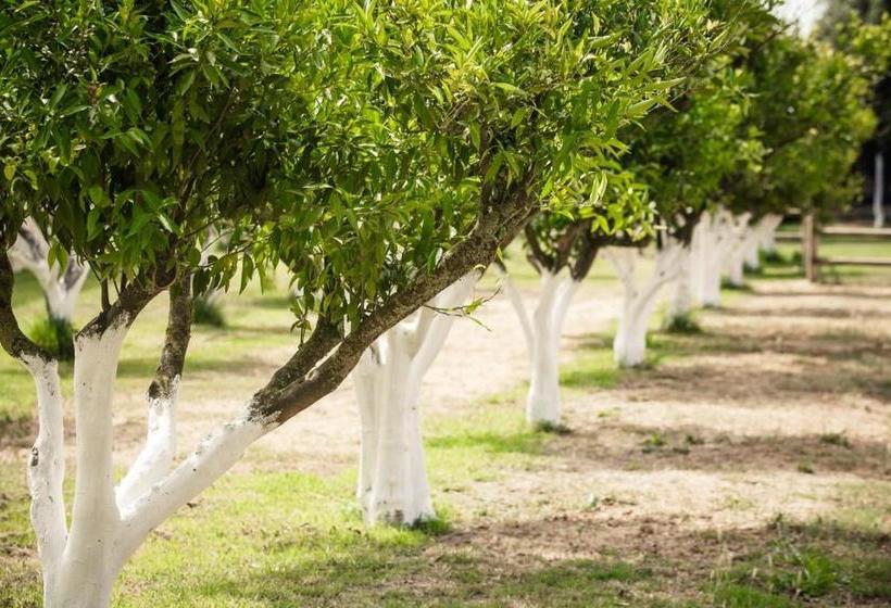 فندق Agriturismo Archelao
