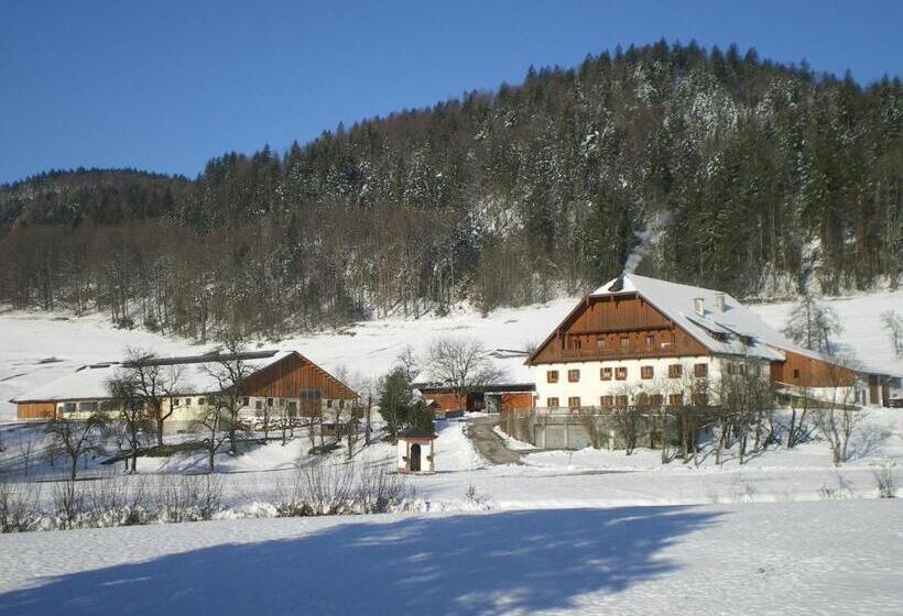 בית מלון כפרי Russbachbauer