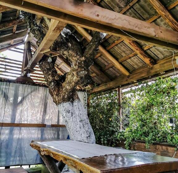 بنسيون Bucuria Muntelui