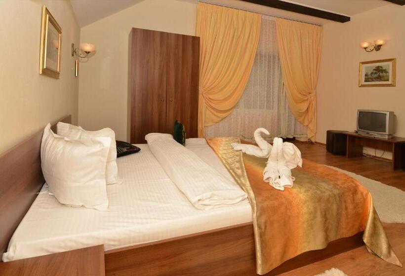 بنسيون Bucuria Muntelui