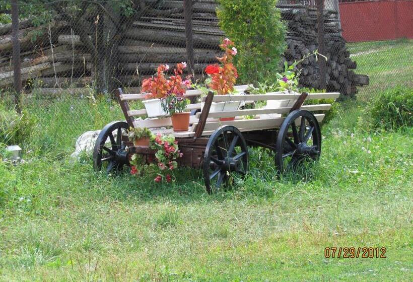 بنسيون Bucuria Muntelui