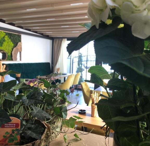پانسیون Casa Mignon