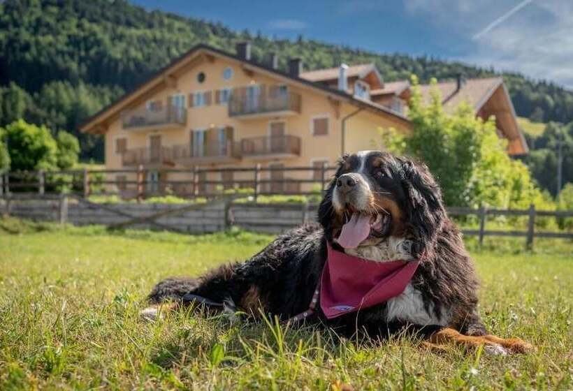 Residence Stella
