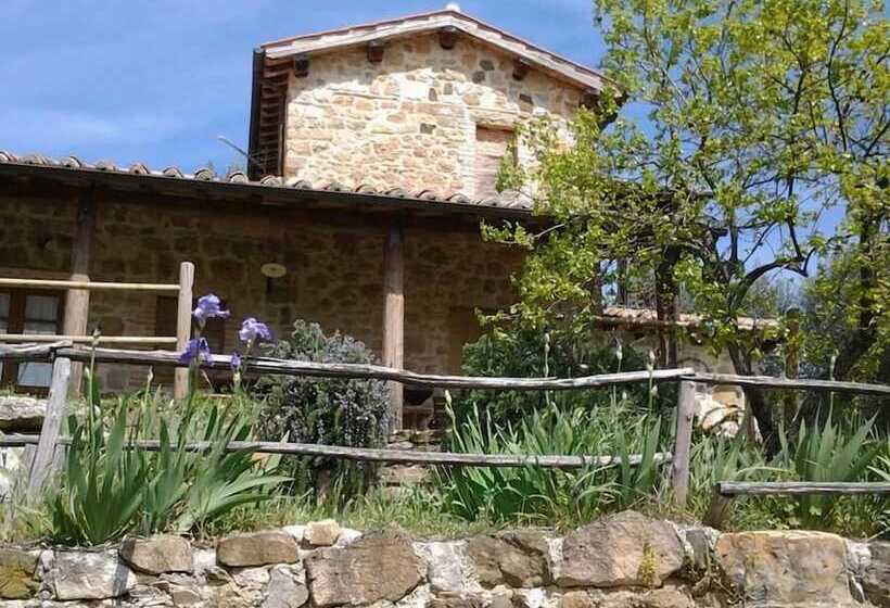 호텔 Agriturismo Casa Fibbianello