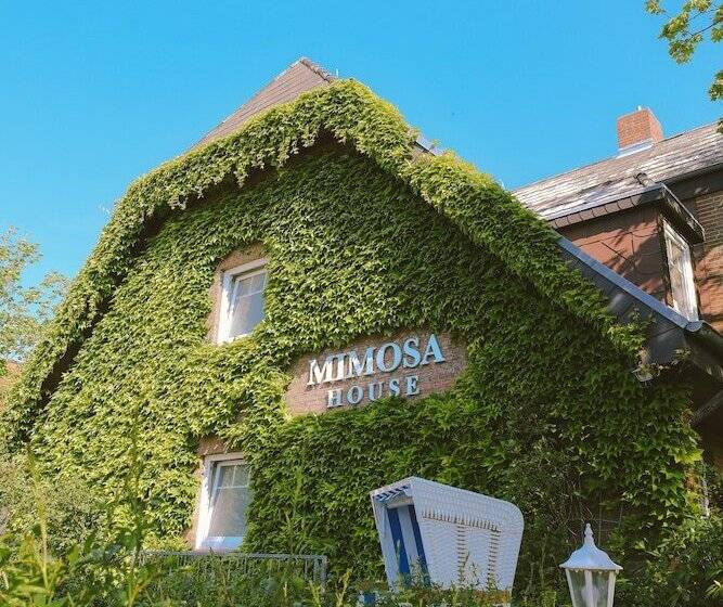 پانسیون Mimosa House
