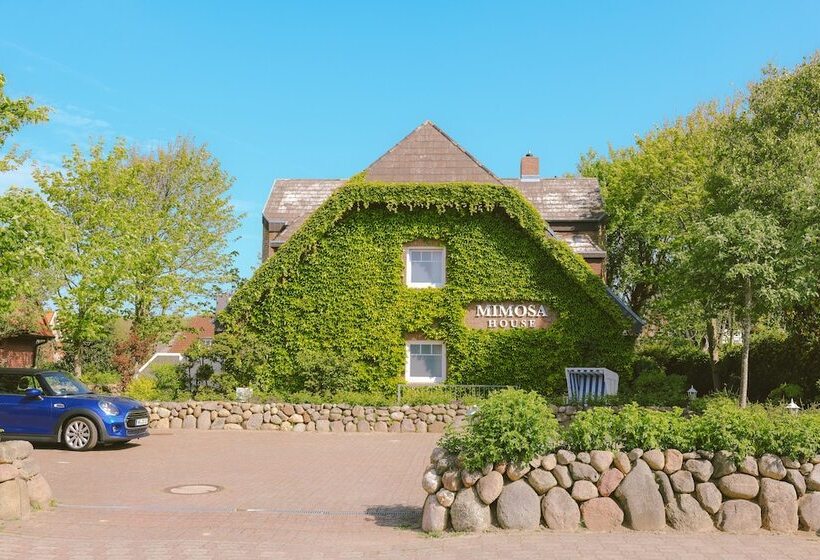 پانسیون Mimosa House