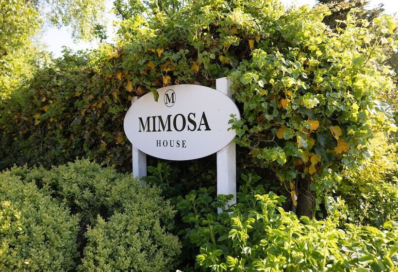 پانسیون Mimosa House