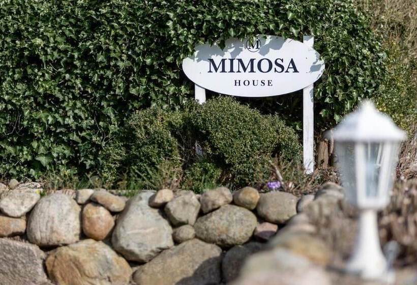 پانسیون Mimosa House