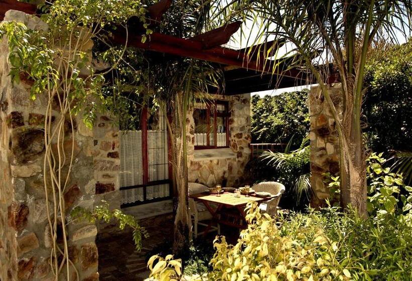 پانسیون Braeview Guest House
