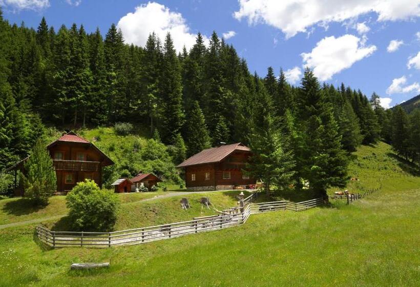 פנסיון Gasserhütte