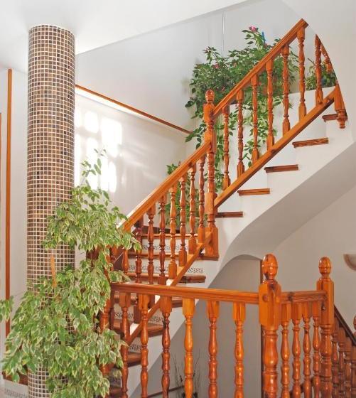 Пансион Apartamentos Vicenta