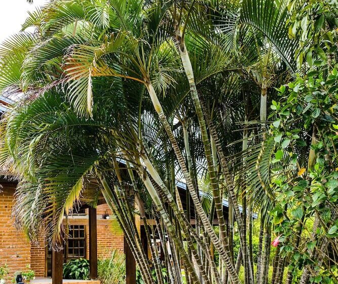 پانسیون Pousada Da Lagoa