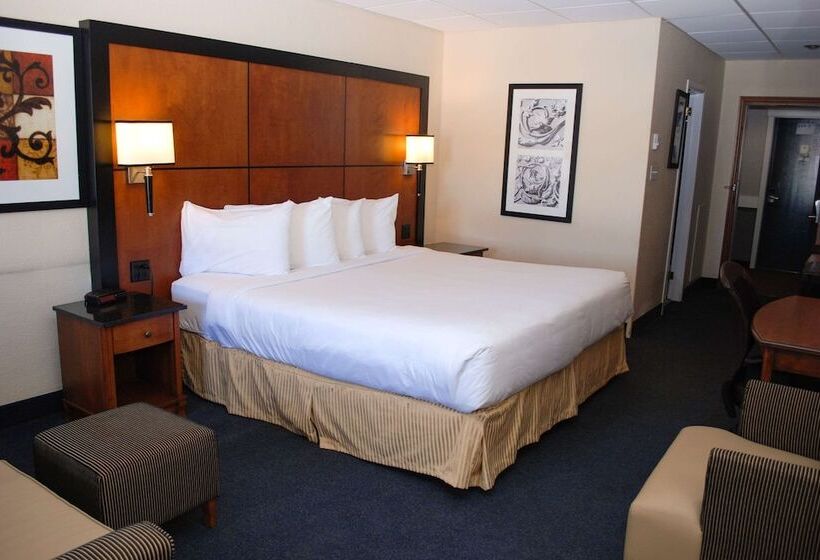 هاستل Rodeway Inn