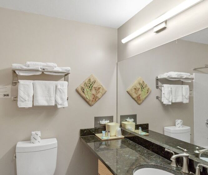 فندق صغير Waterbird Lakeside Inn