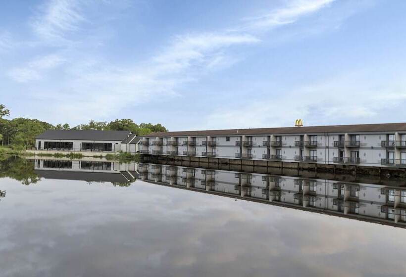 הוסטל Waterbird Lakeside Inn