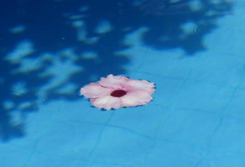 پانسیون Pousada O Refúgio