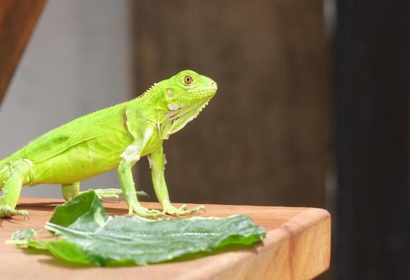 پانسیون Pousada O Refúgio