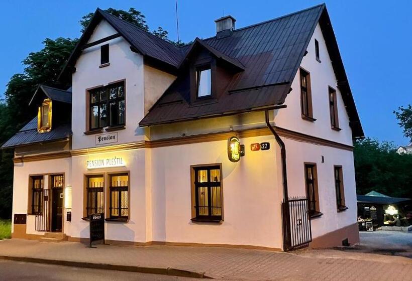 Pension Plestil