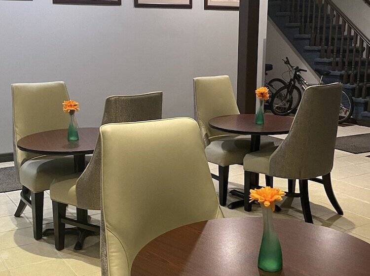 הוסטל Le Voyageur Inn