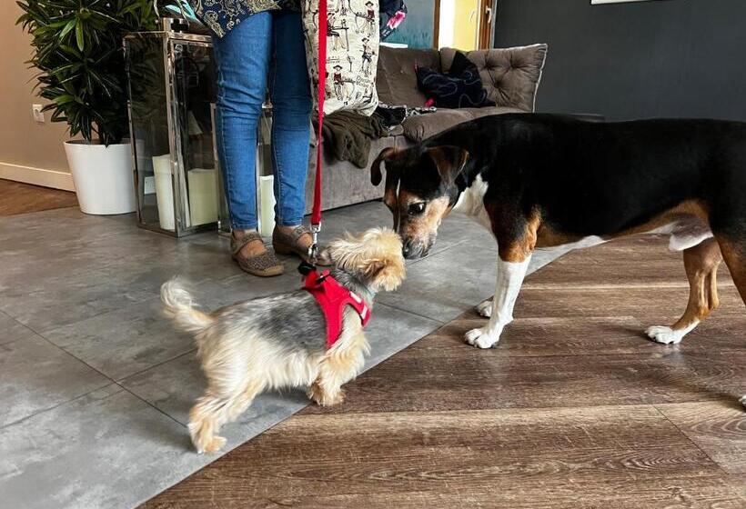 住宿加早餐  Margaréta Garden & Spa