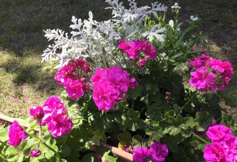 هتل Agriturismo Flabeto