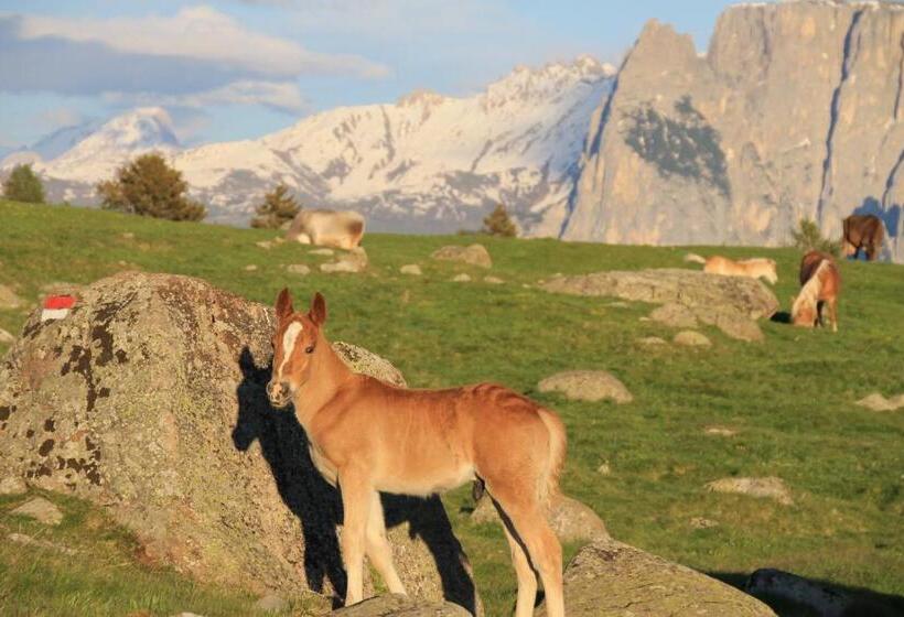 فندق Unterpfaffstall Hof