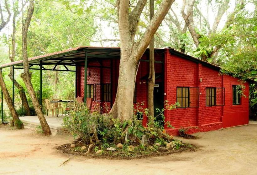 膳宿费 Bamboo Banks Farm & Guest House