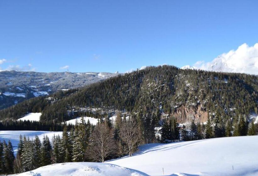 بنسيون Innviertler Berggasthof