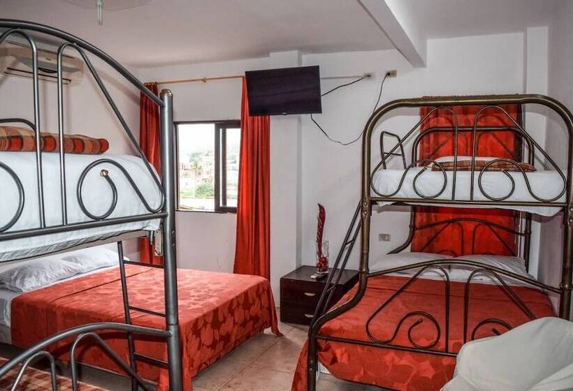 هاستل Hostal Humpback Internacional