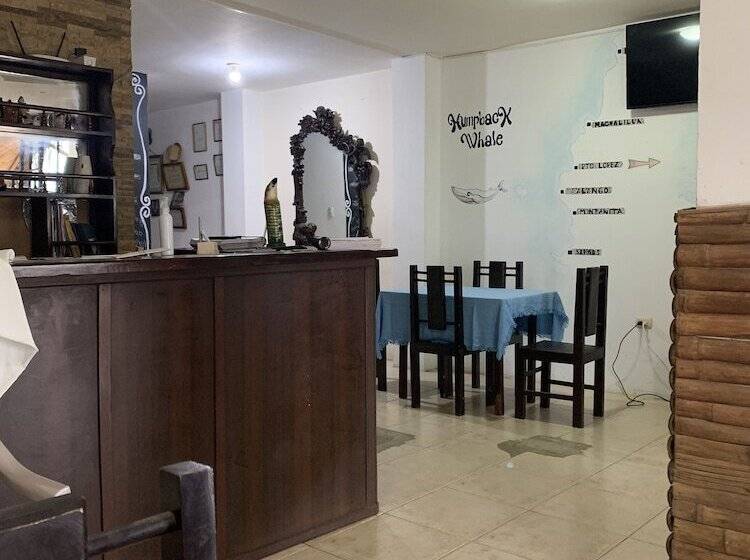 هاستل Hostal Humpback Internacional