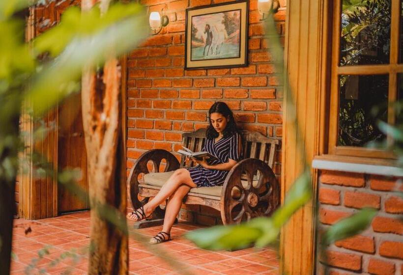 فندق صغير Hostal Las Palmas