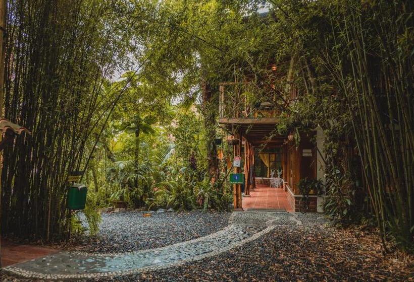 فندق صغير Hostal Las Palmas